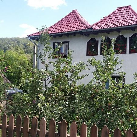 Pensiunea Letitia Sucevita Exterior foto
