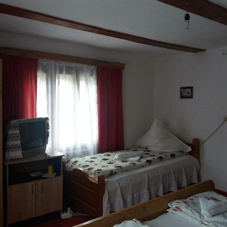 Pensiunea Letitia Sucevita Exterior foto