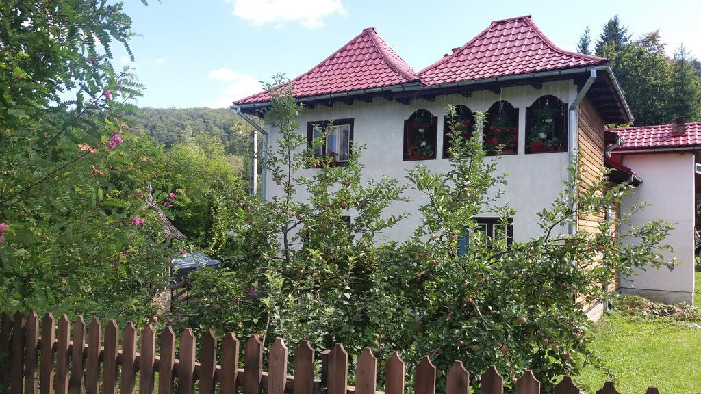Pensiunea Letitia Sucevita Exterior foto