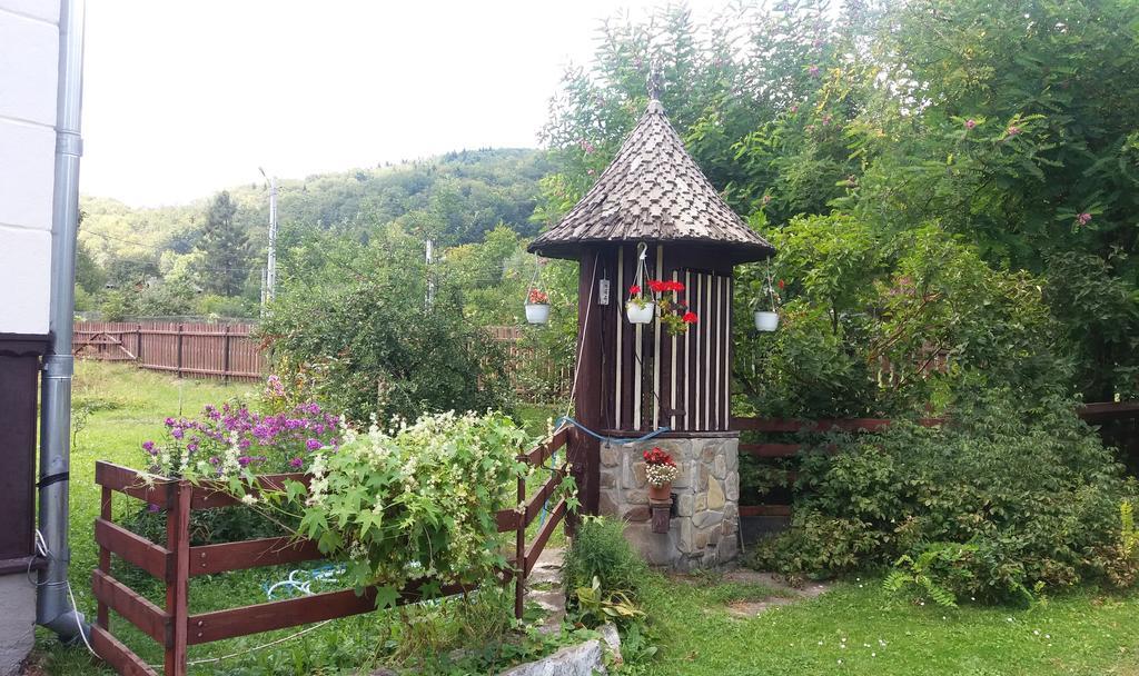 Pensiunea Letitia Sucevita Exterior foto