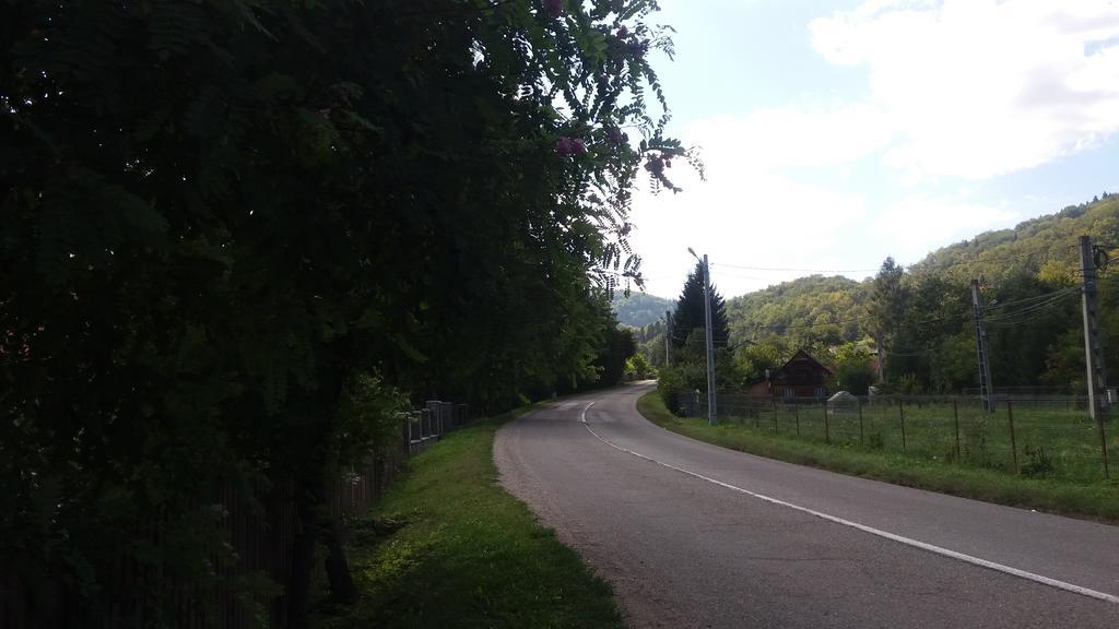 Pensiunea Letitia Sucevita Exterior foto
