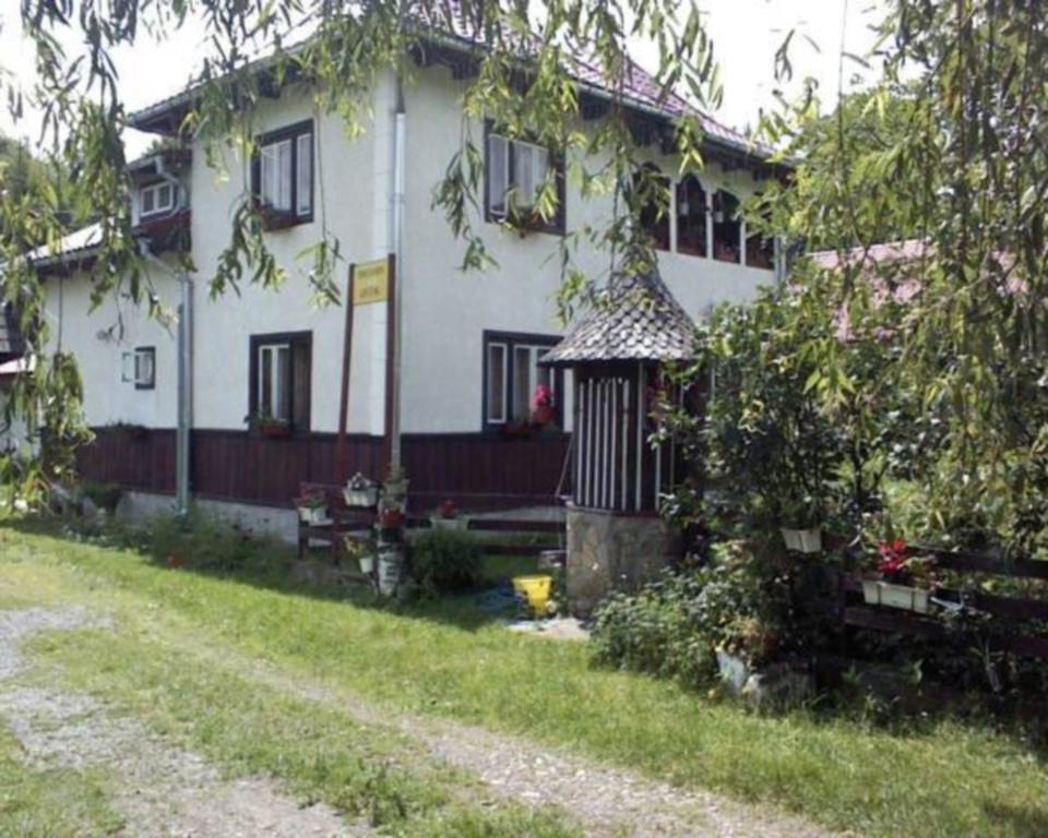 Pensiunea Letitia Sucevita Exterior foto
